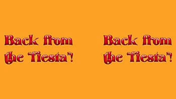 Back From The Fiesta - Voyeur Ii