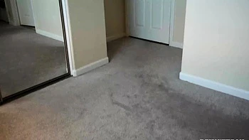 Naughty Babe Ameena Green Offers Her Pussy To Horny Guy