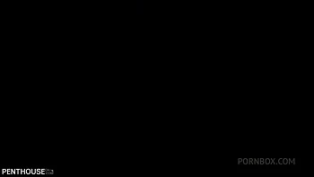 Pet Taggers - Episode 2