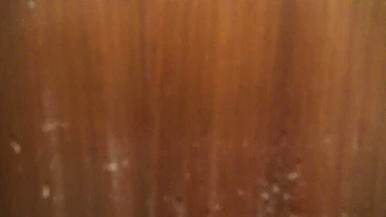 Souzan Halabi First Time Blowjob in Kitchen - Amateur Arab Teen Hijab Girl Dirty Talk Close Up 4K