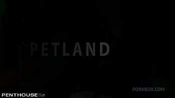 Penthouse Petland - Episode 2