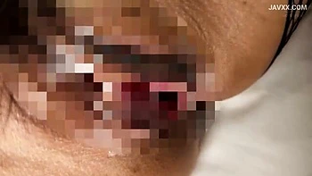 x1x8E27FC4D339EF3538E