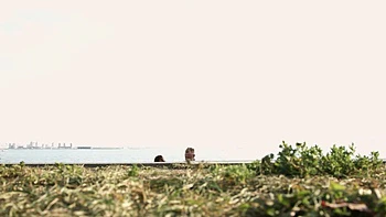 Миа Ричи сосет и жестко ебется наездницей