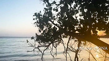 Wetting Panties And Jeans On A Bare Foot Island Walk