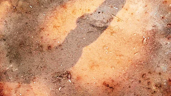 Orgie sauvage DP anal avec les bombes Lucy Belle & Rubi Diamond