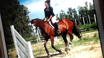 Zorra amateur dura con tetas enormes: solo webcam