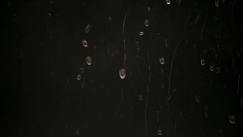 VIPissy : Angel Love et Lola Myluv dans une douche dorée hardcore