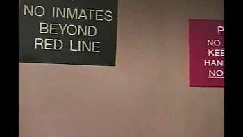 Chica perfecta se traga la polla tras lamer su coño