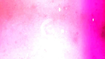 Zorra trans se masturba con dildo y plug en lencería