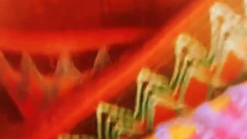 Outdoors, Wild Love On Hard Ground - Indian Summer