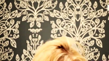 Danni King se desnuda en solitario con medias provocativas