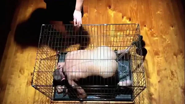 Dominatrix Mistress April competition