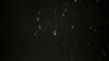 Savannah's hairy pussy porn