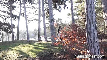 Pissing Street - pissing action